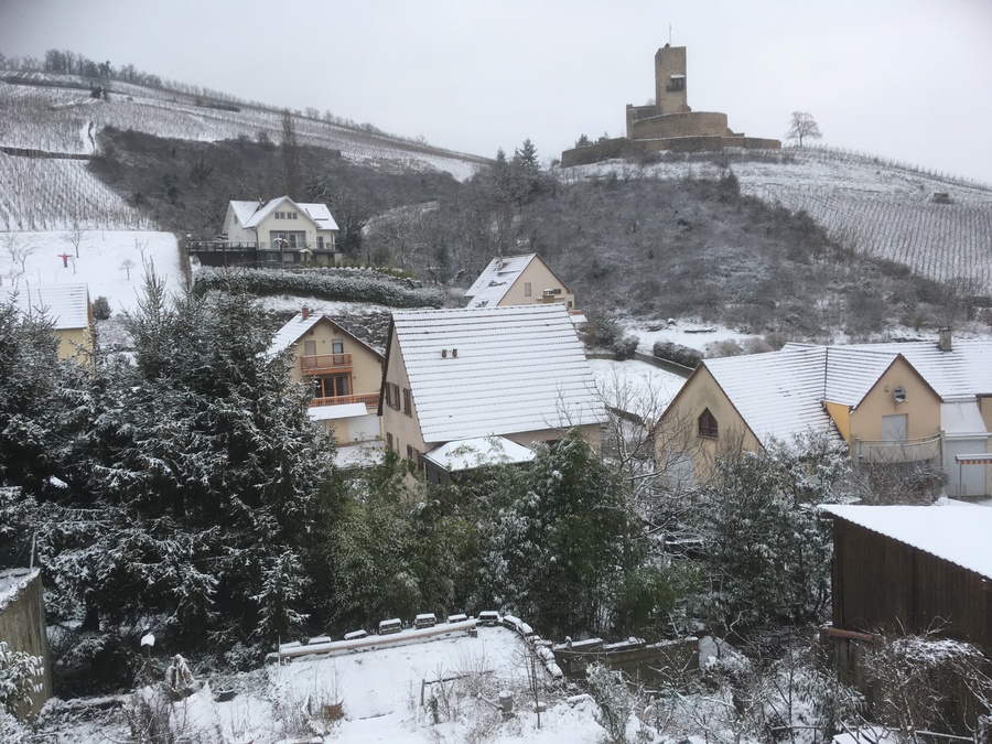 PhotoLive, la météo en photos, en temps réel.