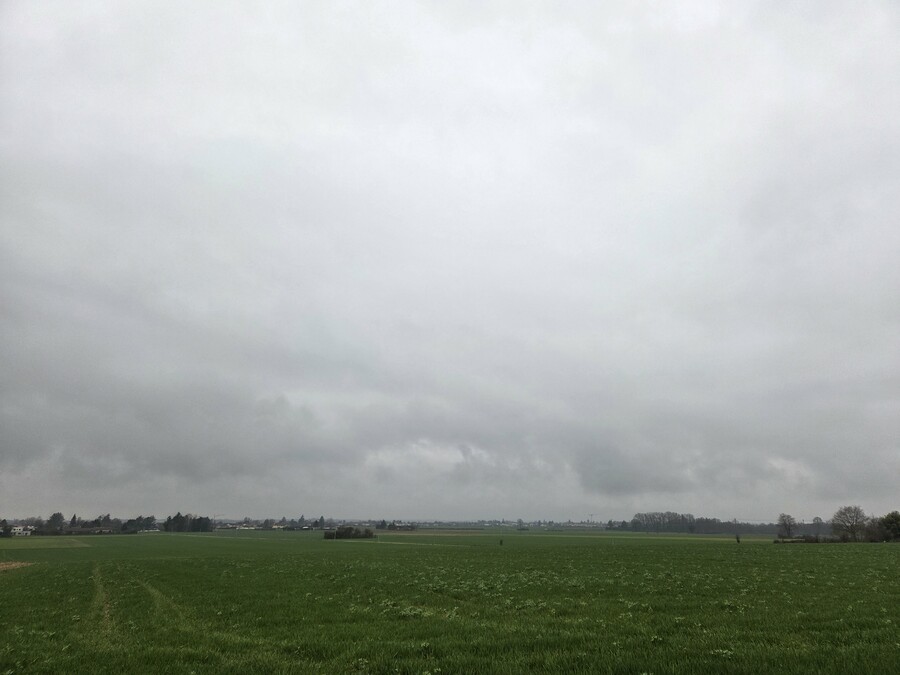 PhotoLive, la météo en photos, en temps réel.