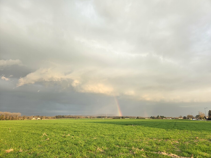 PhotoLive, la météo en photos, en temps réel.