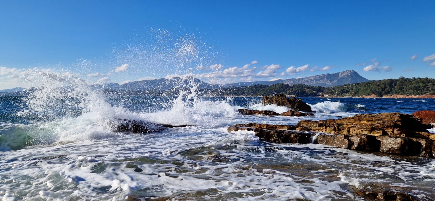 PhotoLive, la météo en photos, en temps réel.