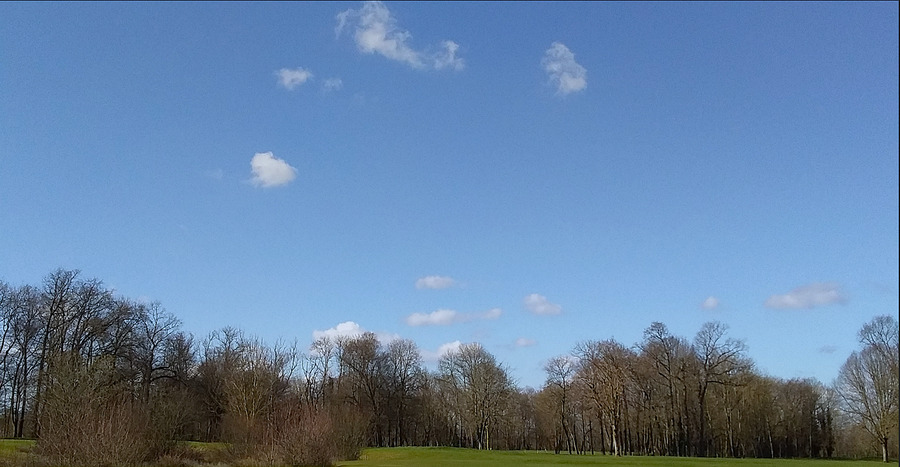 PhotoLive, la météo en photos, en temps réel.