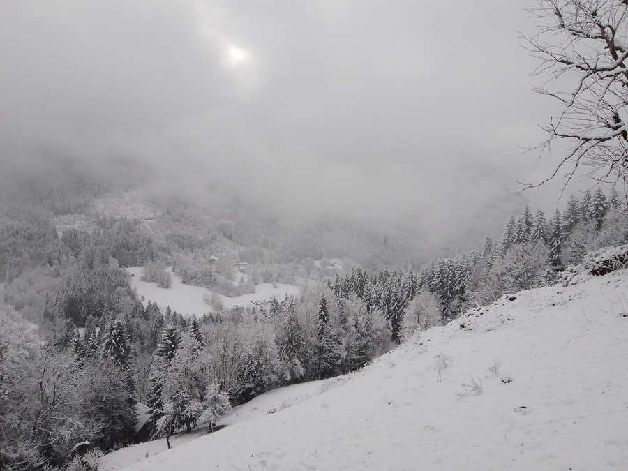 PhotoLive, la météo en photos, en temps réel.