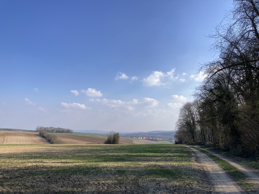 PhotoLive, la météo en photos, en temps réel.