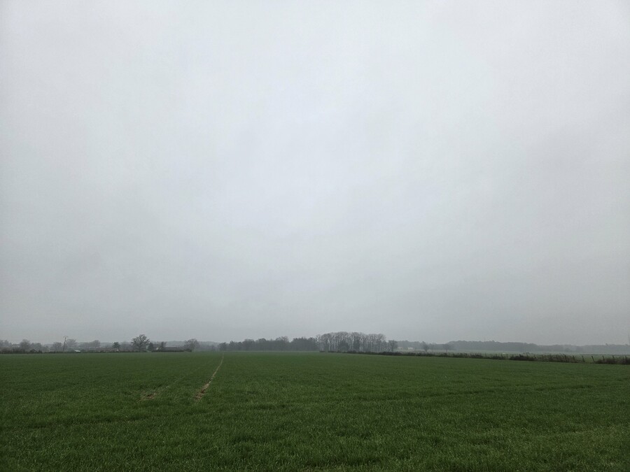 PhotoLive, la météo en photos, en temps réel.