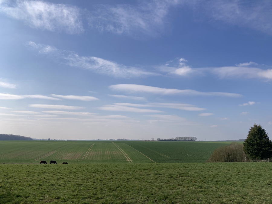 PhotoLive, la météo en photos, en temps réel.
