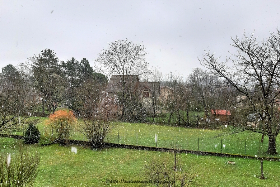 PhotoLive, la météo en photos, en temps réel.