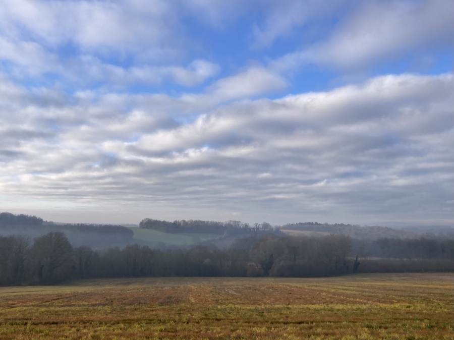 PhotoLive, la météo en photos, en temps réel.