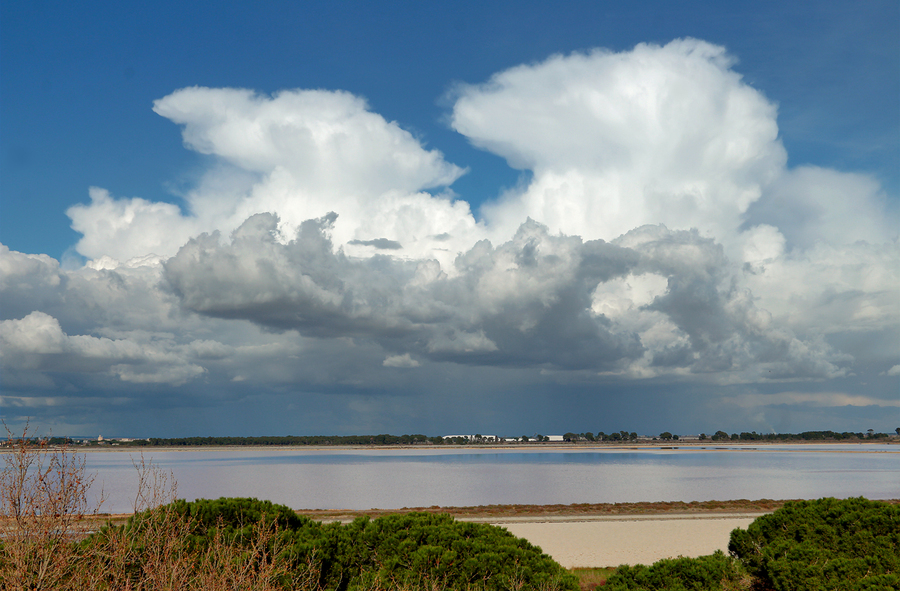 PhotoLive, la météo en photos, en temps réel.