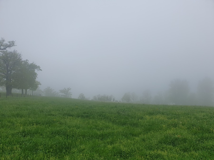 PhotoLive, la météo en photos, en temps réel.