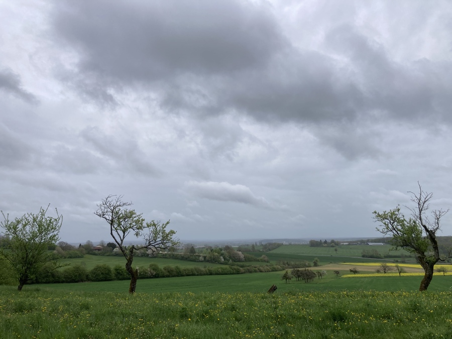 PhotoLive, la météo en photos, en temps réel.