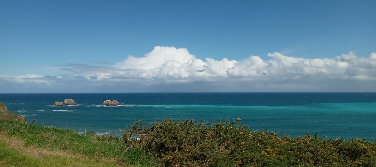 PhotoLive, la météo en photos, en temps réel.