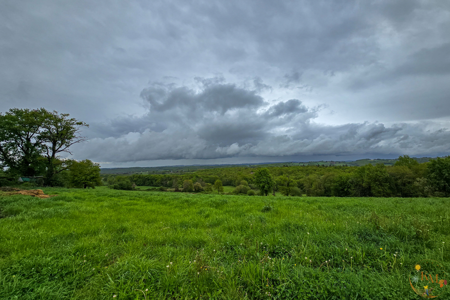 PhotoLive, la météo en photos, en temps réel.