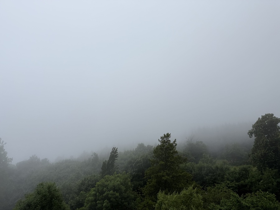 PhotoLive, la météo en photos, en temps réel.