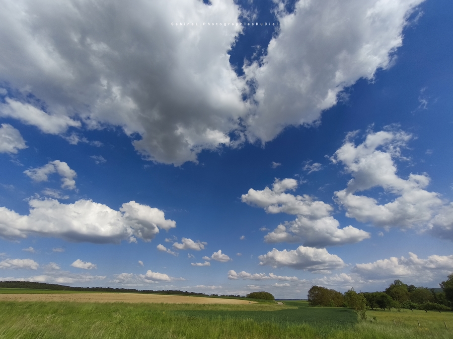 PhotoLive, la météo en photos, en temps réel.