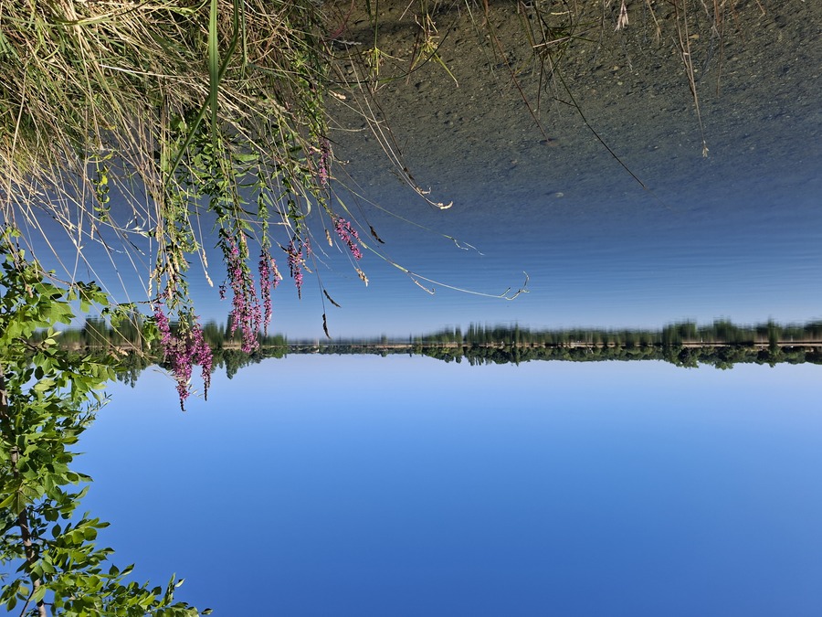 PhotoLive, la météo en photos, en temps réel.