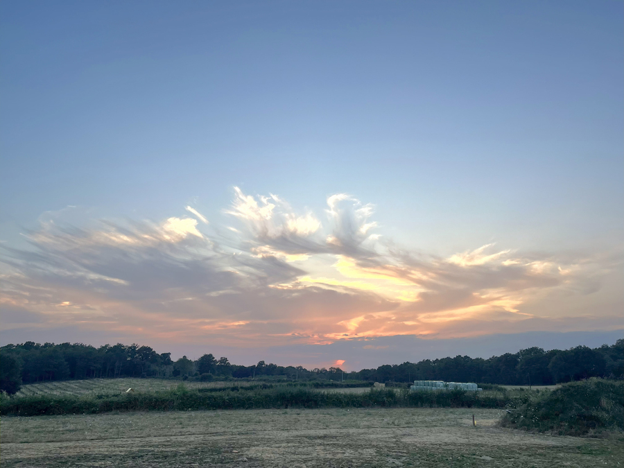 PhotoLive, la météo en photos, en temps réel.