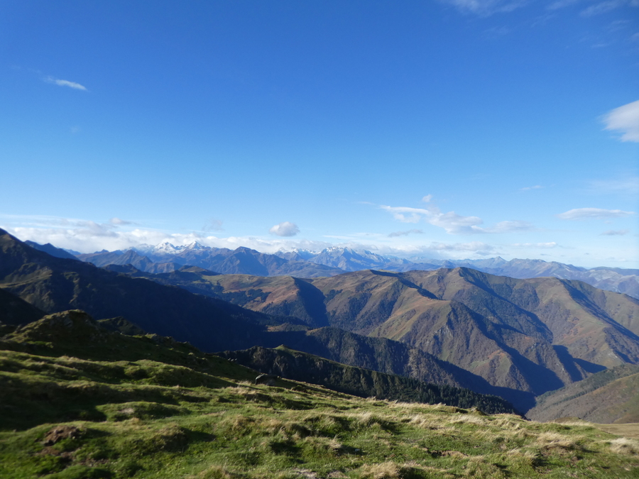 PhotoLive, la météo en photos, en temps réel.