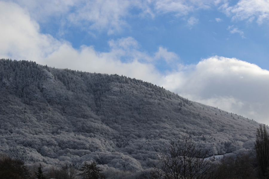 PhotoLive, la météo en photos, en temps réel.