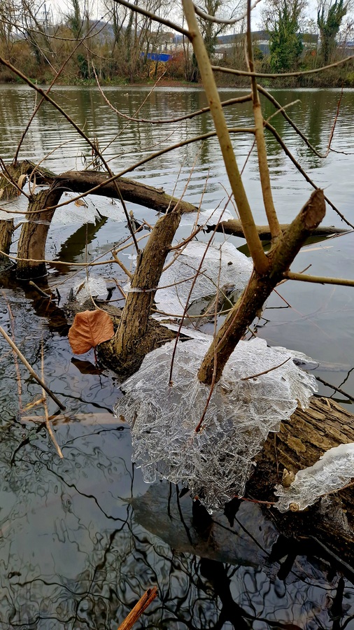 PhotoLive, la météo en photos, en temps réel.