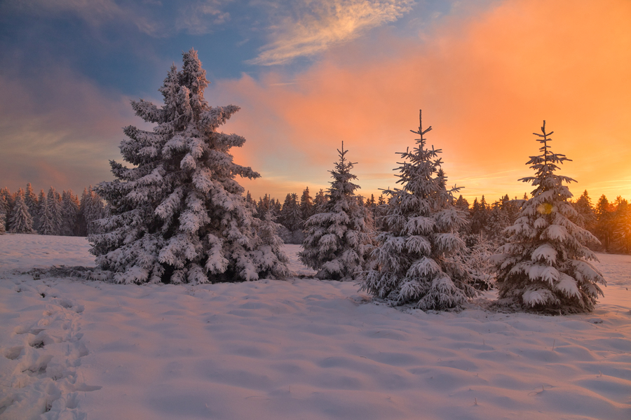 PhotoLive, la météo en photos, en temps réel.