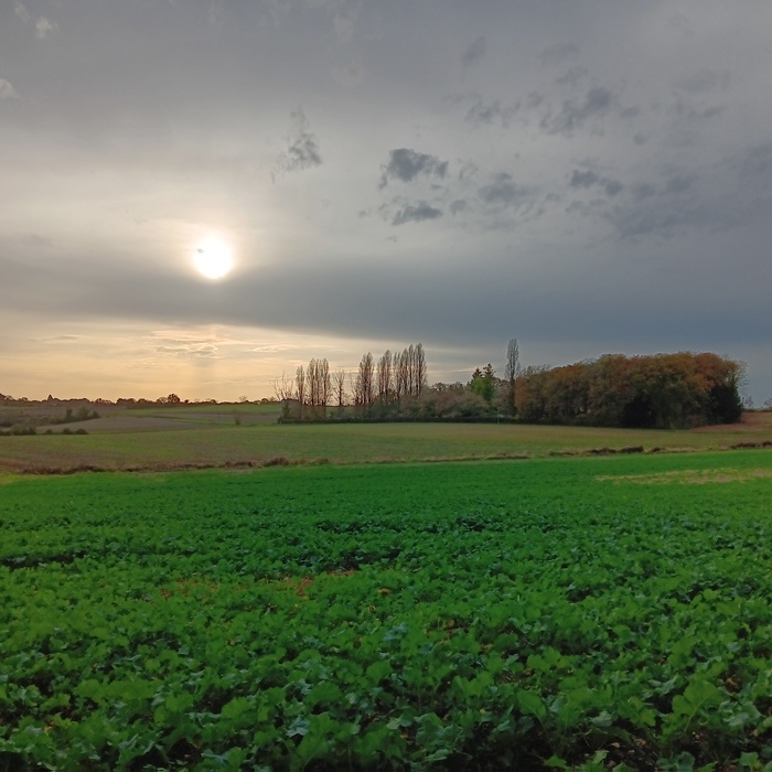 PhotoLive, la météo en photos, en temps réel.