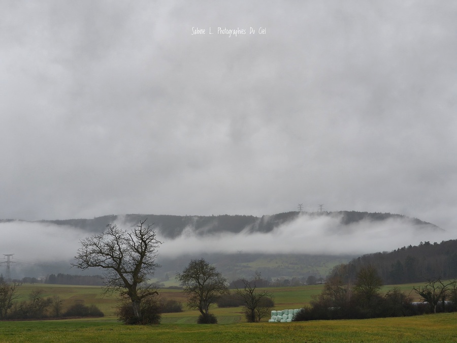 PhotoLive, la météo en photos, en temps réel.