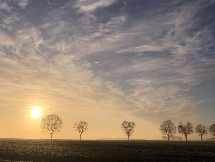 PhotoLive, la météo en photos, en temps réel.