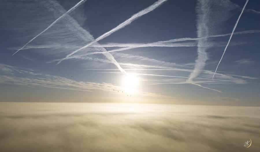 PhotoLive, la météo en photos, en temps réel.