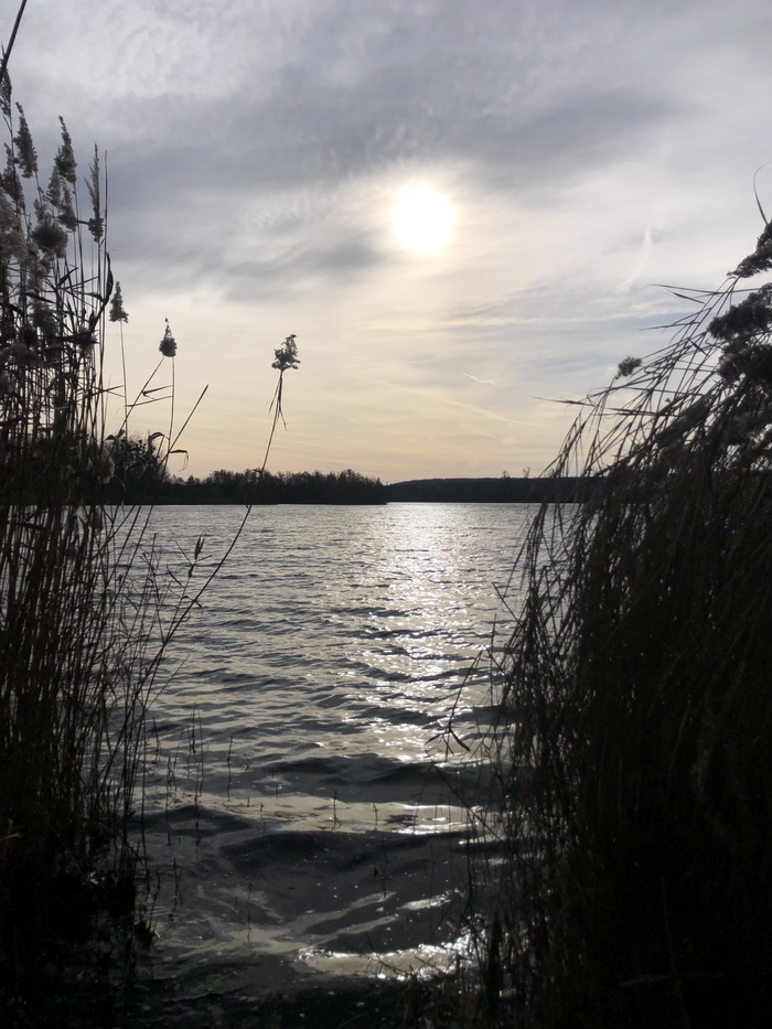 PhotoLive, la météo en photos, en temps réel.